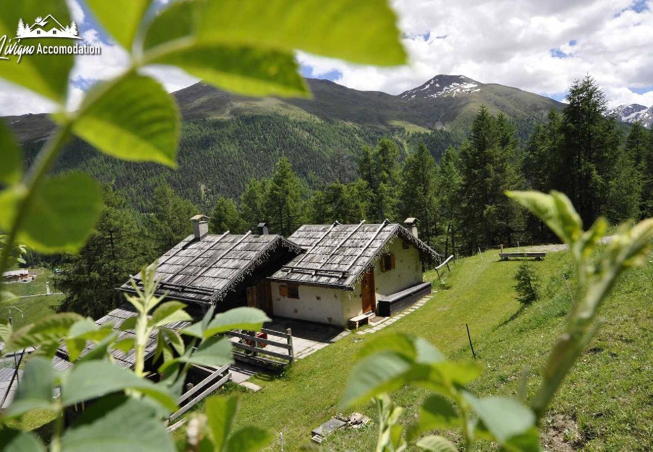 Villetta a Livigno - Baita Hanzel & Gretel - Appartamento Hanzel 