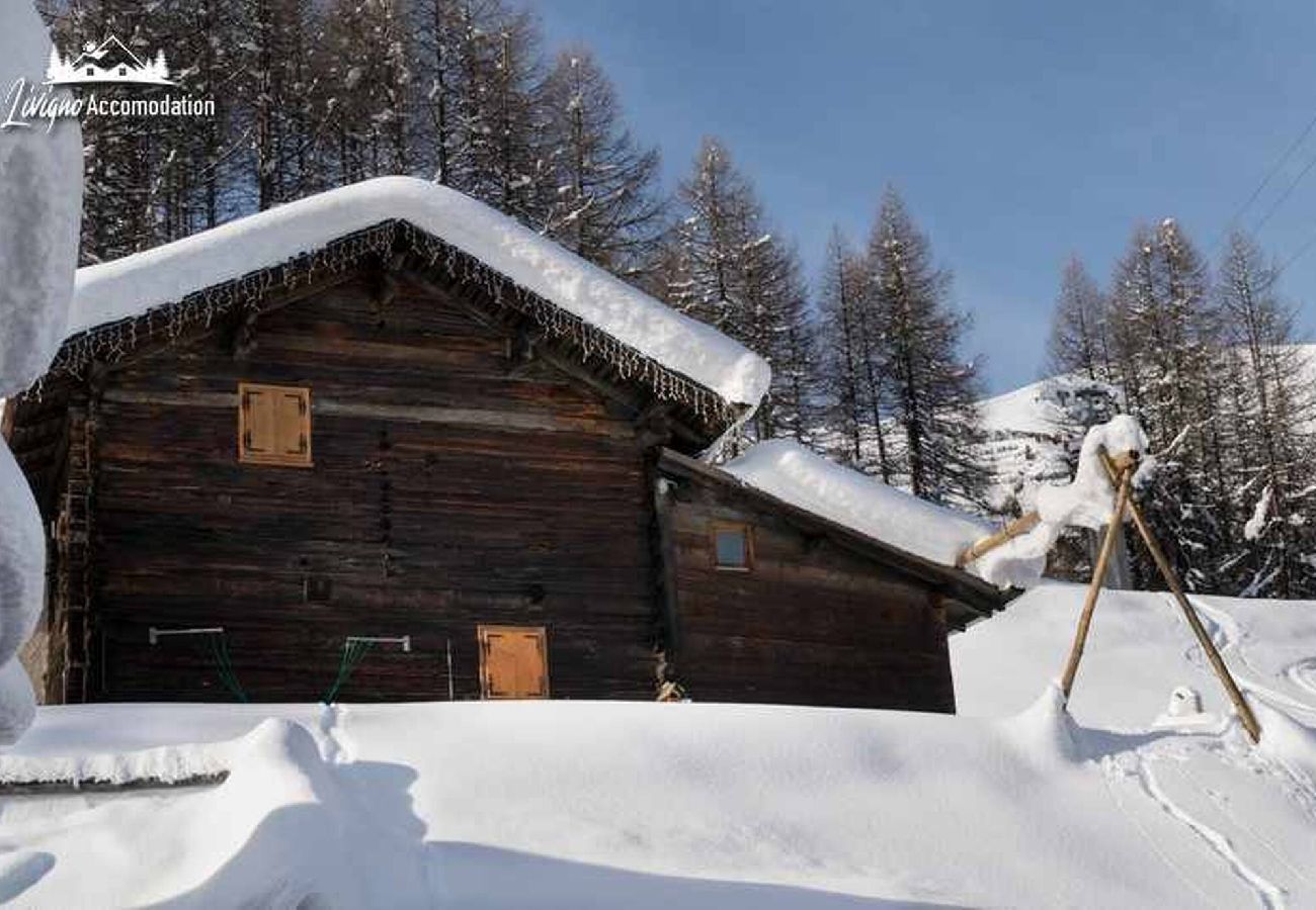 Villetta a Livigno - Baita Hanzel & Gretel - Appartamento Hanzel 