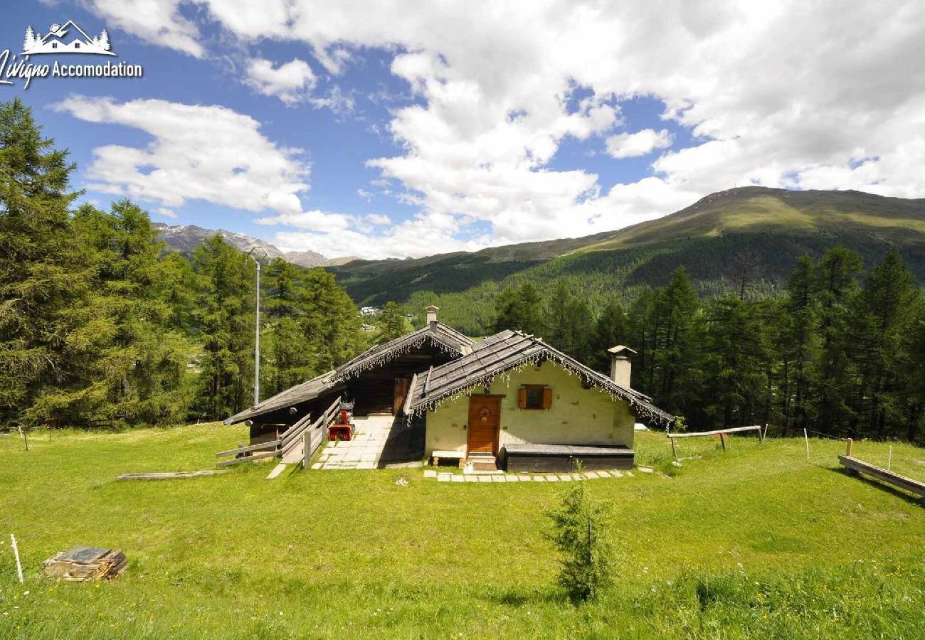 Villetta a Livigno - Baita Hanzel & Gretel - Appartamento Hanzel 