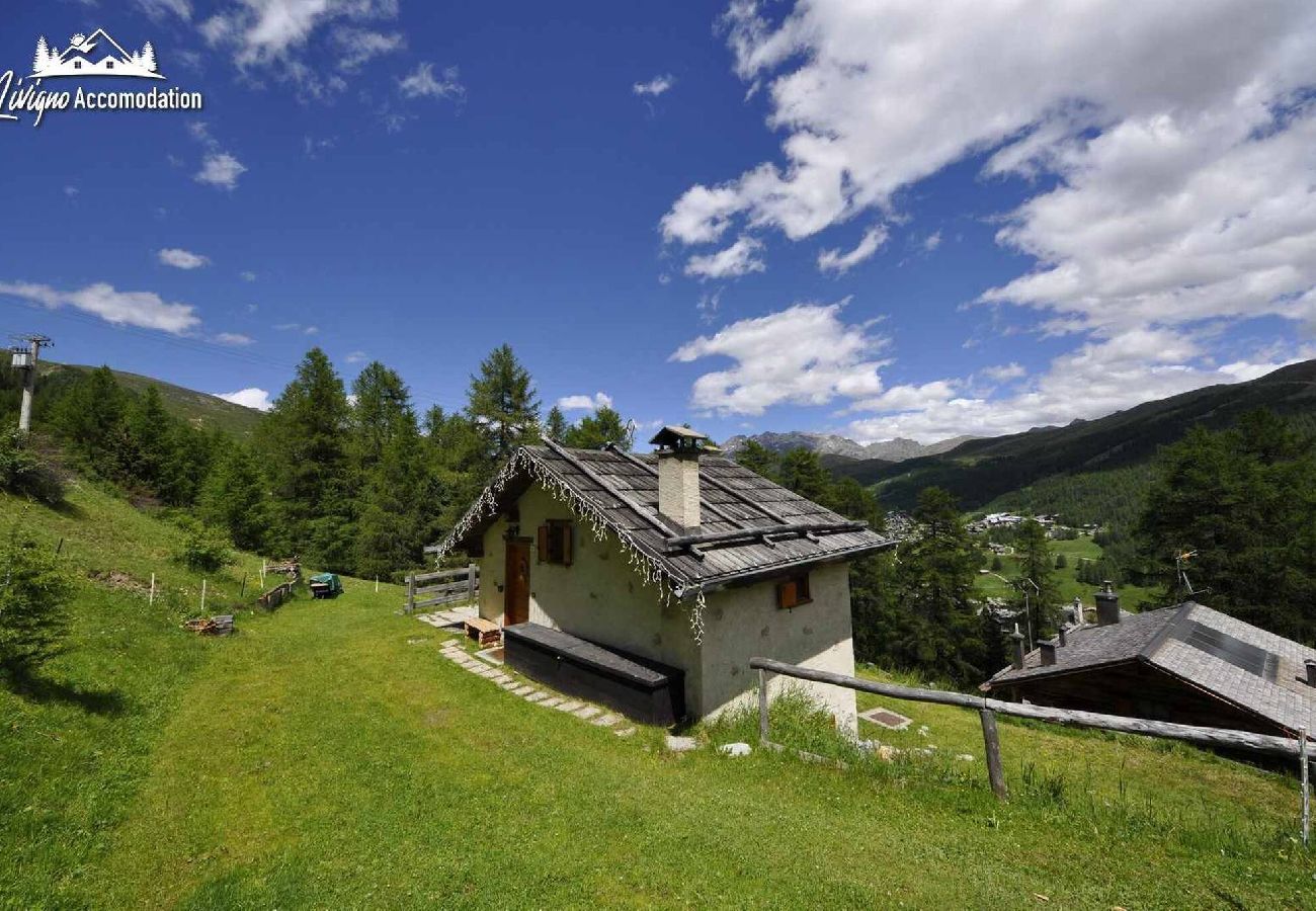 Villetta a Livigno - Baita Hanzel & Gretel - Appartamento Hanzel 