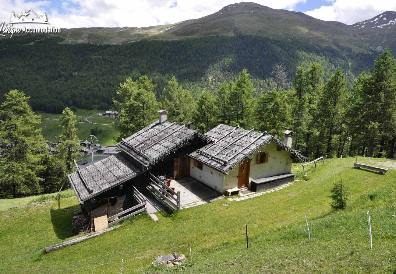 Villetta a Livigno - Baita Hanzel & Gretel - Appartamento Hanzel 