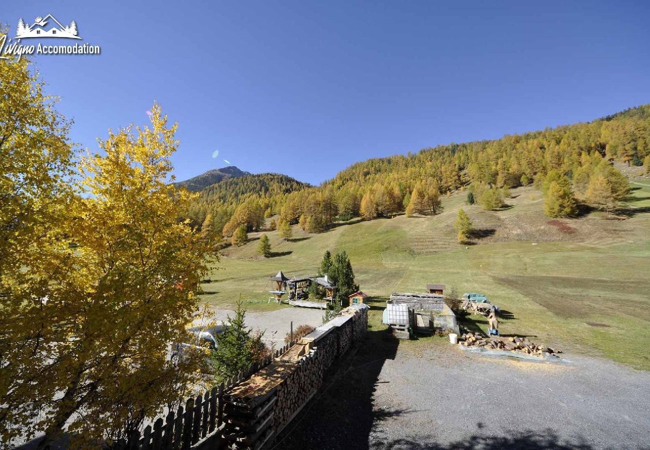 Appartamento a Livigno - Casa Florin Giumel - con vista sulle piste da sci 