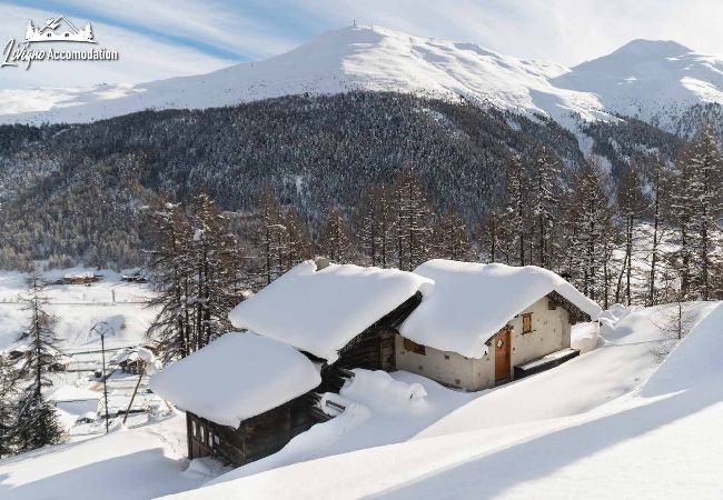 Livigno - Villetta