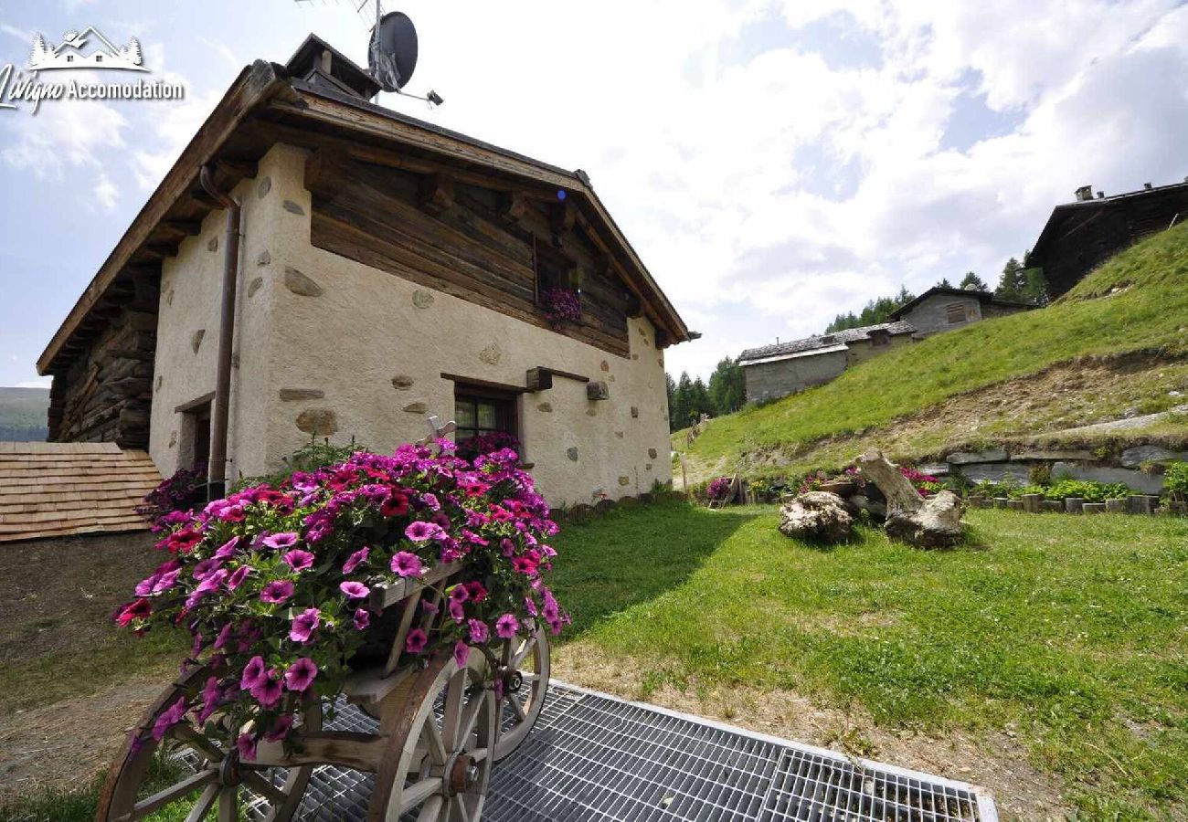 Villetta a Livigno - Mountain Chalet Scoiattolo 