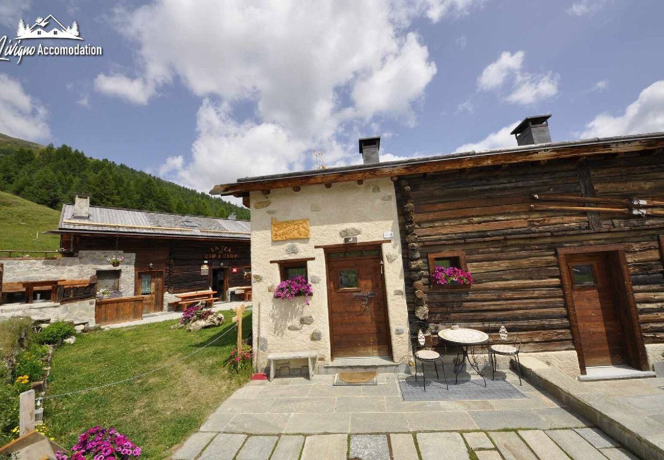 Villetta a Livigno - Mountain Chalet Scoiattolo 