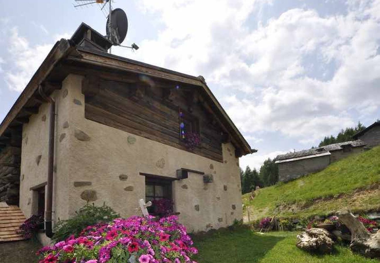 Villetta a Livigno - Mountain Chalet Scoiattolo 