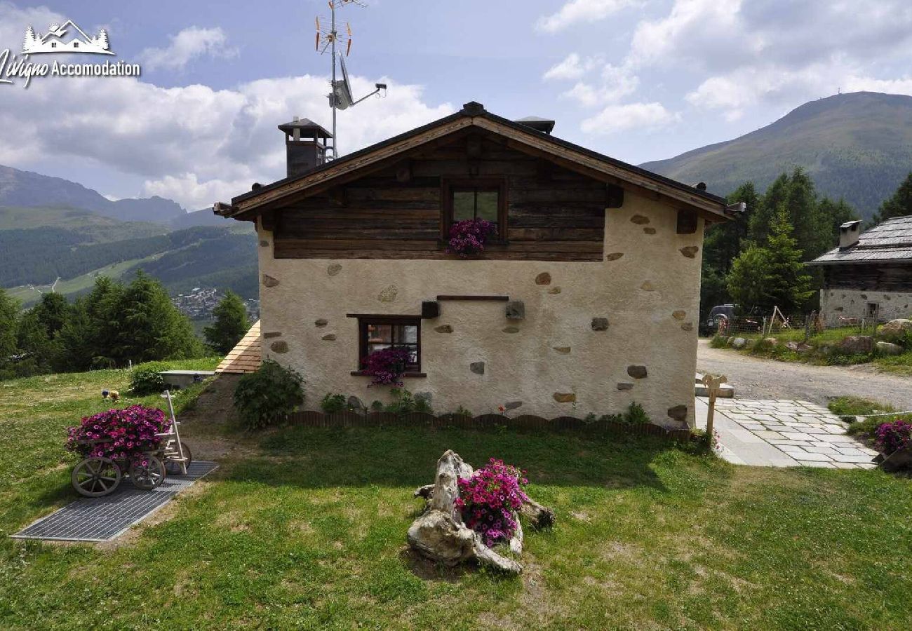 Villetta a Livigno - Mountain Chalet Scoiattolo 